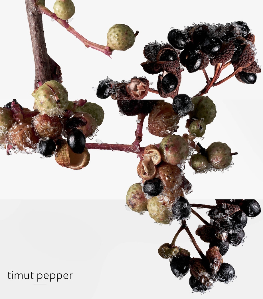 Terre d’Hermès Eau Givrée Eau de Parfum Refill (125ml) NO COLOUR Image 8