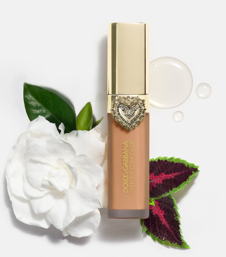 Everlast Concealer 34DEEP Image 7