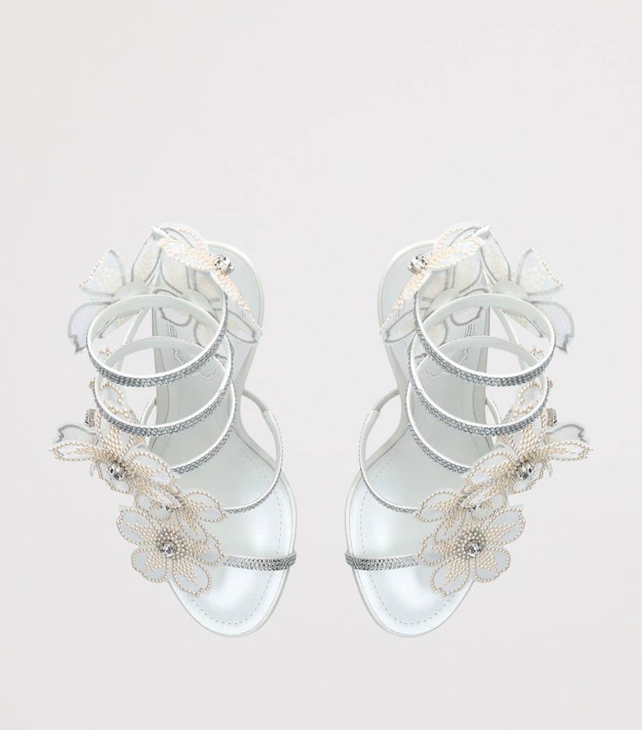 René Caovilla Leather Flower Cleo Sandals 105 White/oth Image 4