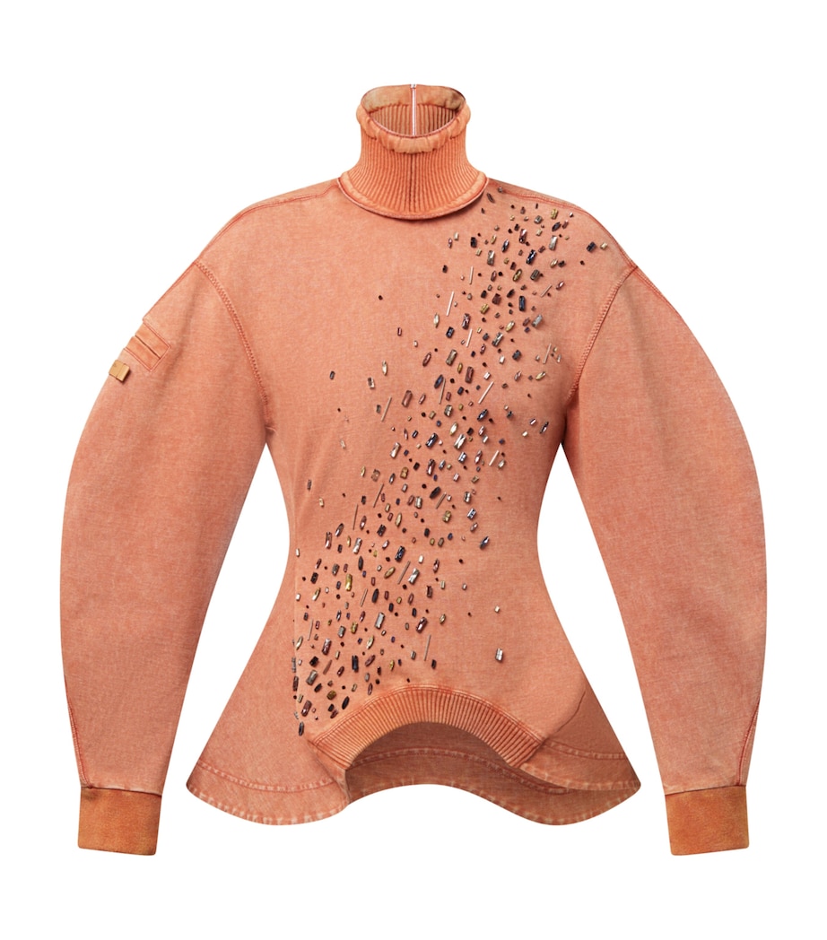 Cotton Embellished Rollneck Sweatshirt PINK Image 1