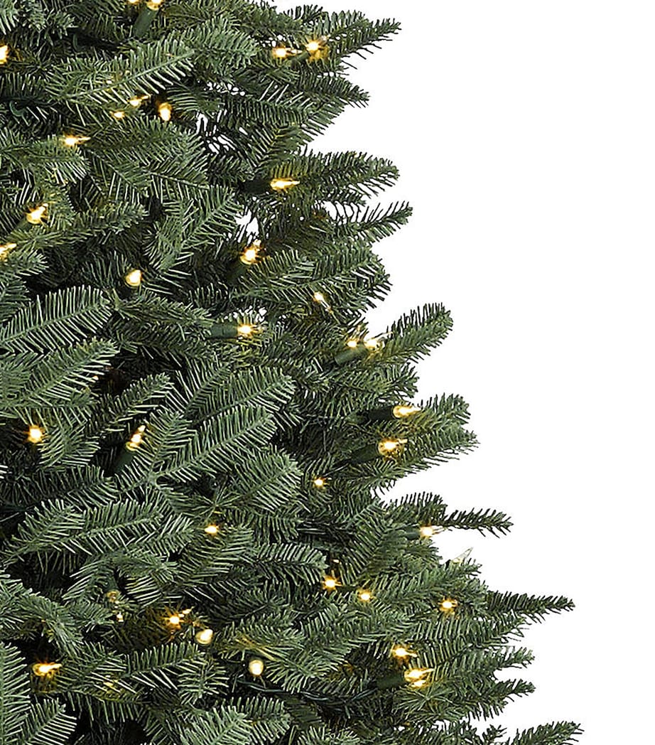 BH Balsam Fir Christmas Tree (7ft) GREEN Image 2