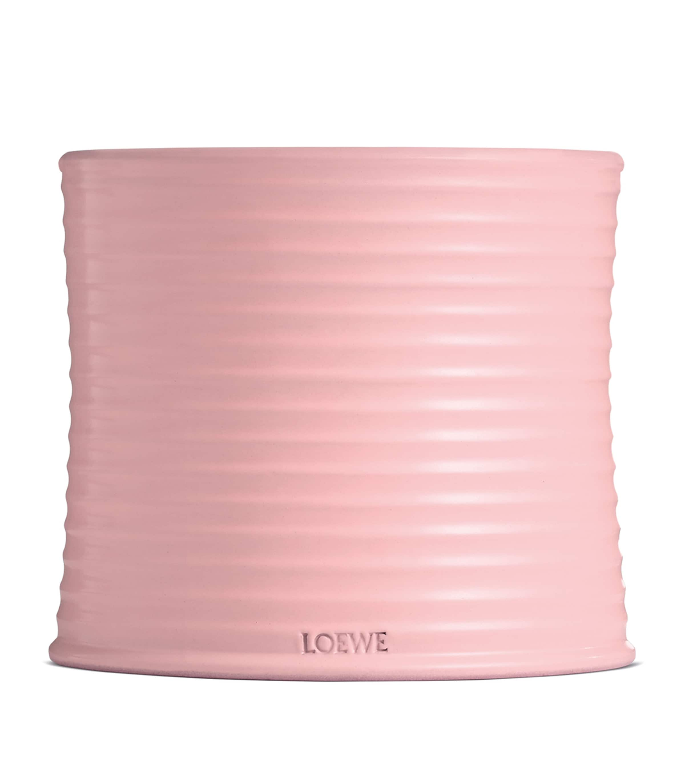 Shop Loewe Large Ivy Candle