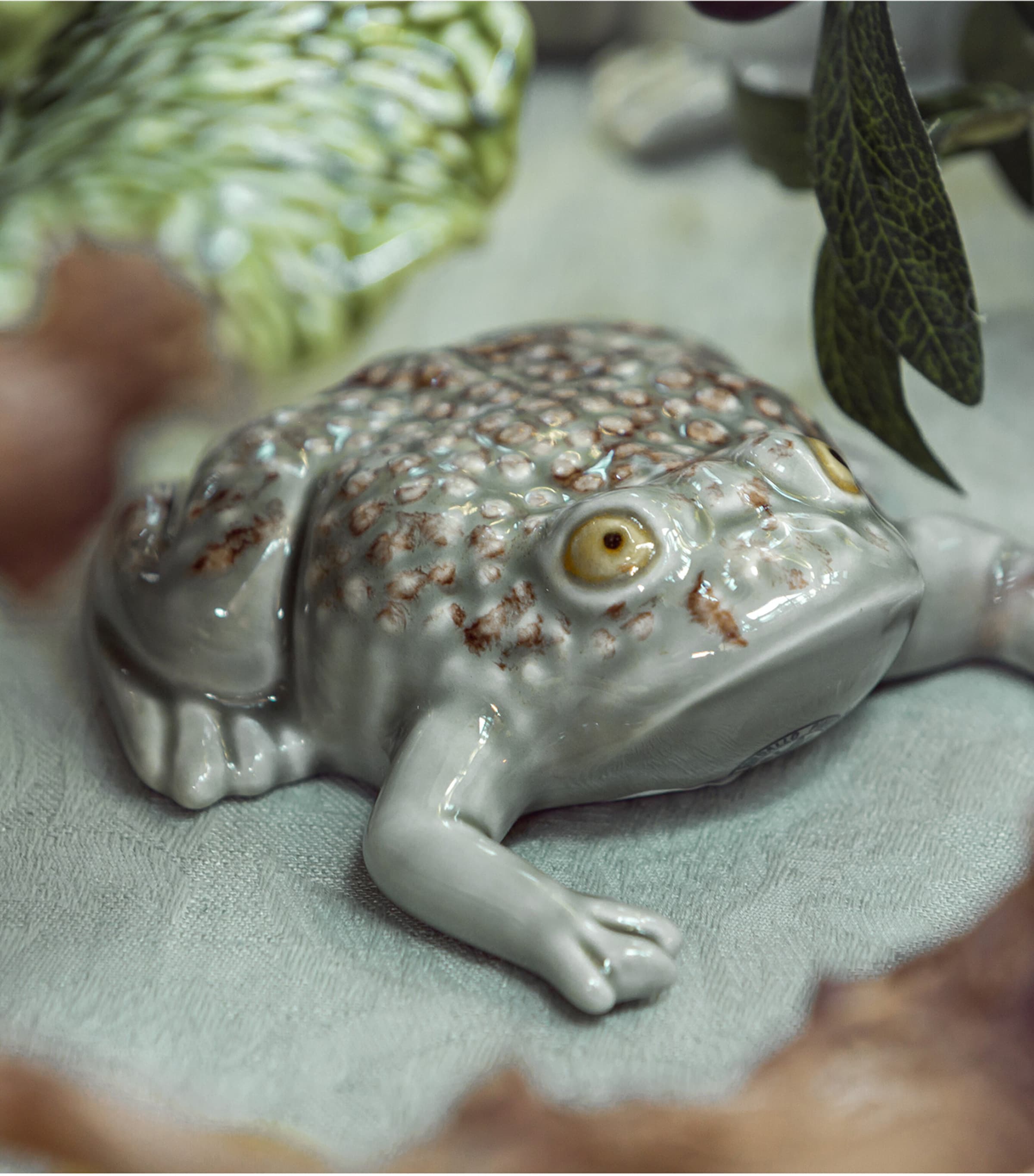 Large Toad GREEN Image 2