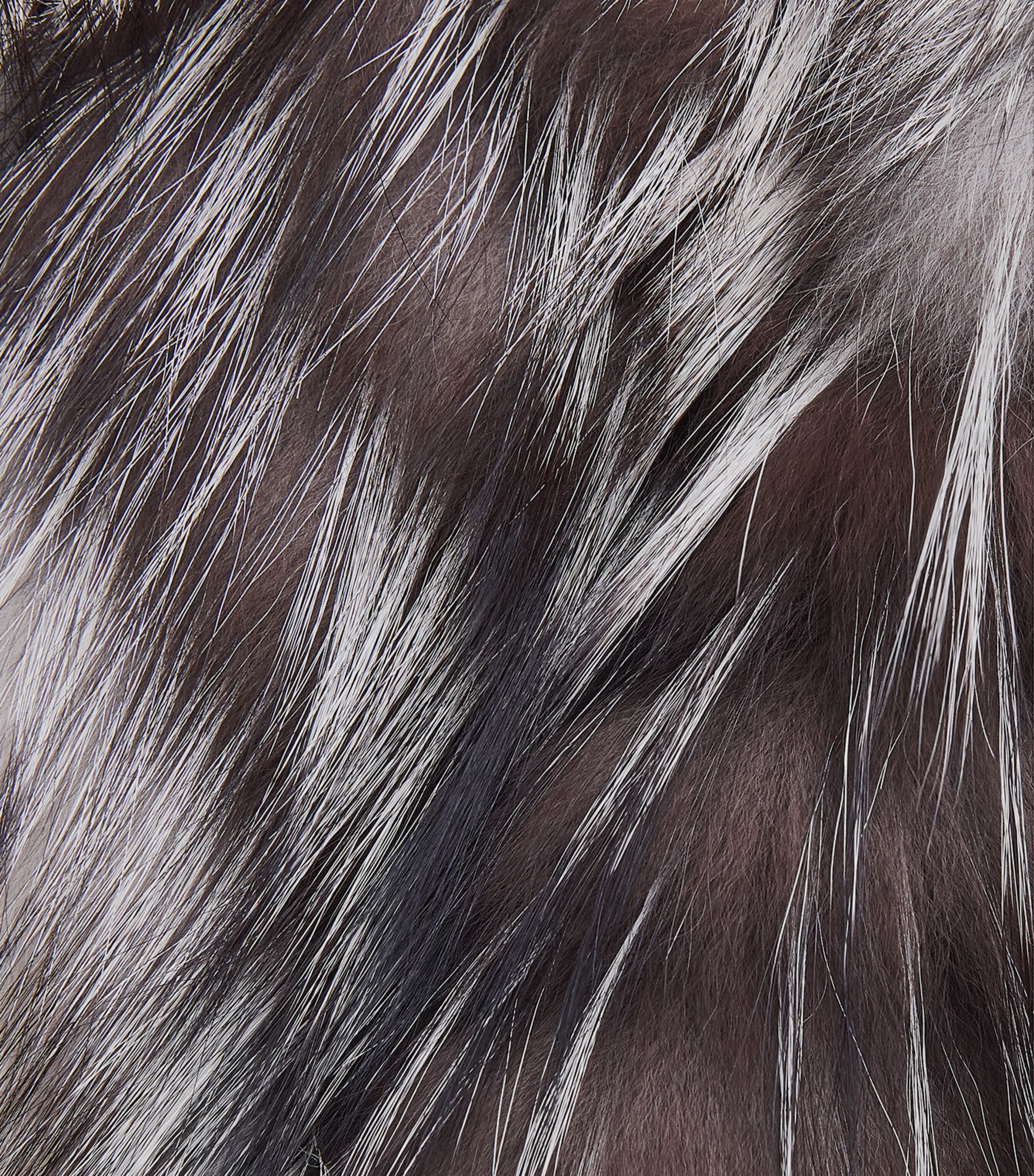 Fox Fur-Wool Belted Coat B3241 Image 5