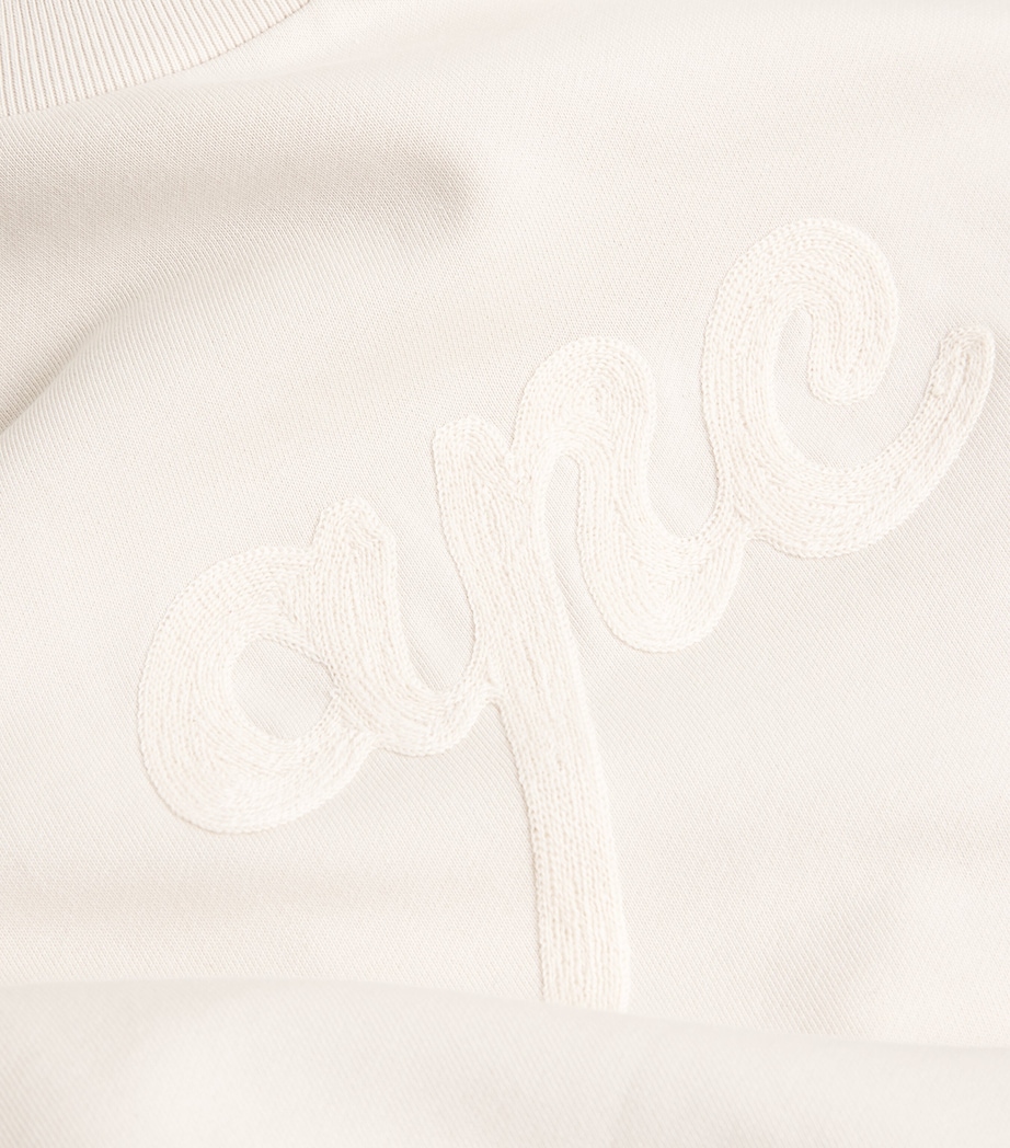 Cotton Logo Sweatshirt AAE MASTIC Image 5