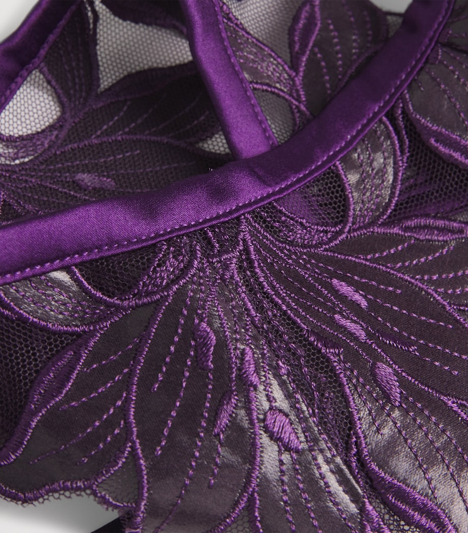 Lily Embroidered Suspender Belt 1063 AUBERGINE Image 4