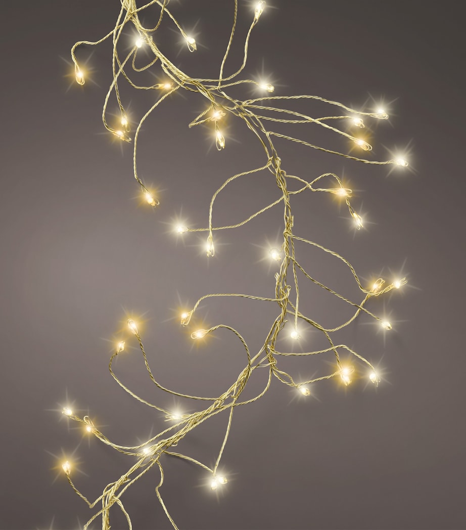 Harrods Warm Cluster Lights Trnsparent/wrm White Image 2