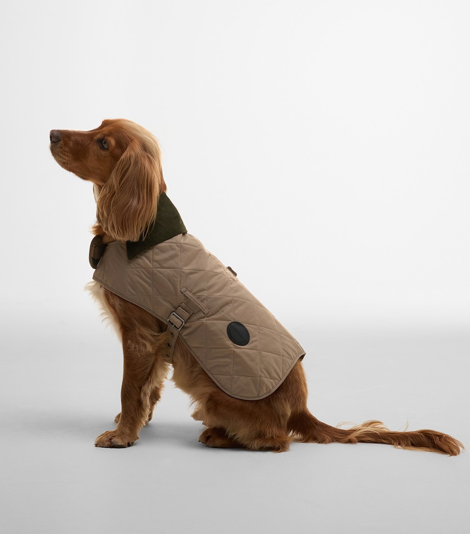 Quilted Dog Coat (Medium) SAND Image 2