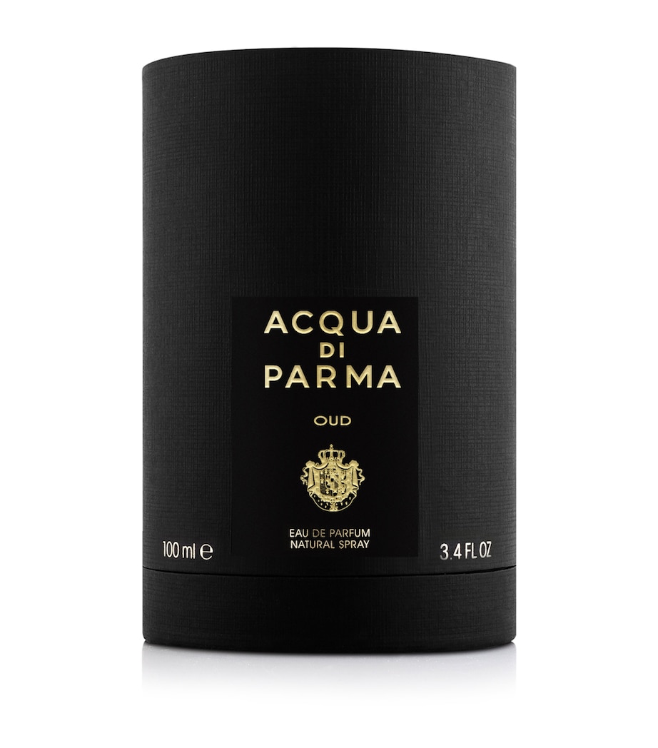 Oud Eau de Parfum (100ml) NO COLOUR Image 2