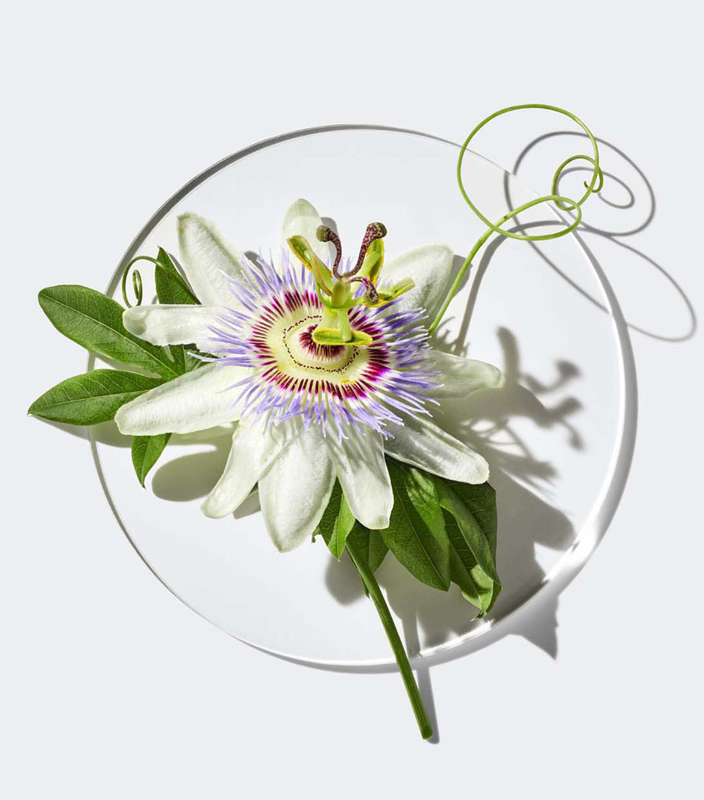 Clinique Happy in Paradise Limited Edition Eau de Parfum