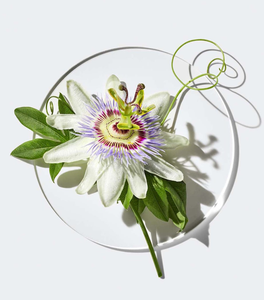 Happy in Paradise Limited Edition Eau de Parfum (100ml) NO COLOUR Image 3