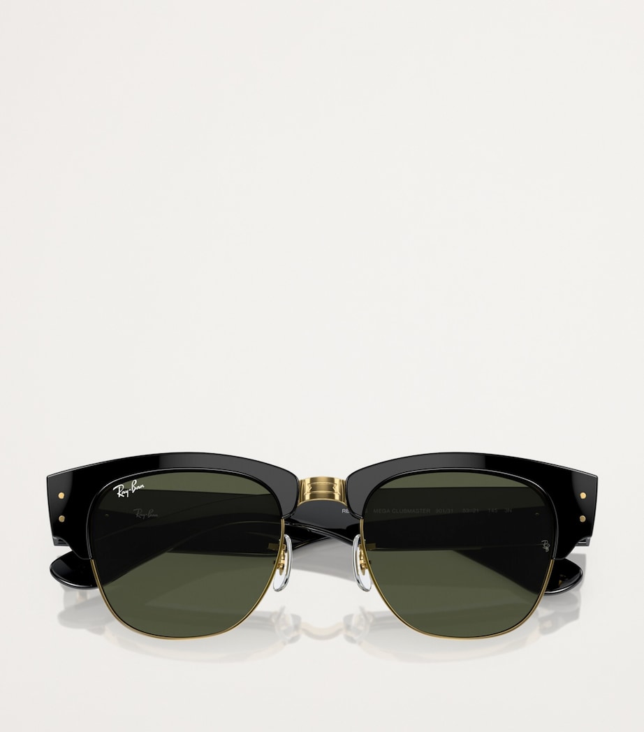 Ray-Ban Propionate 0RB0316S Sunglasses Image 5