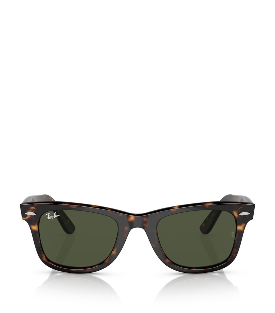 Acetate Wayfarer Sunglasses 135931 Image 1