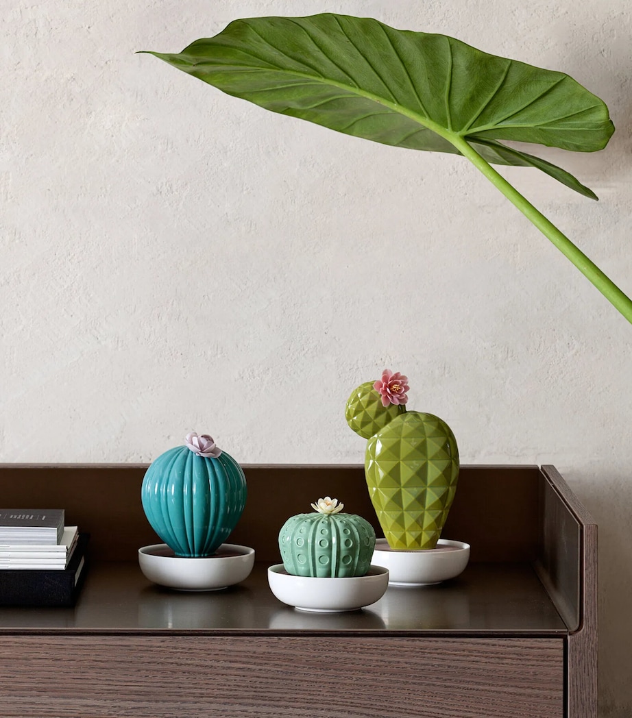 Ferocactus Cactus Diffuser (100ml) BLUE Image 2