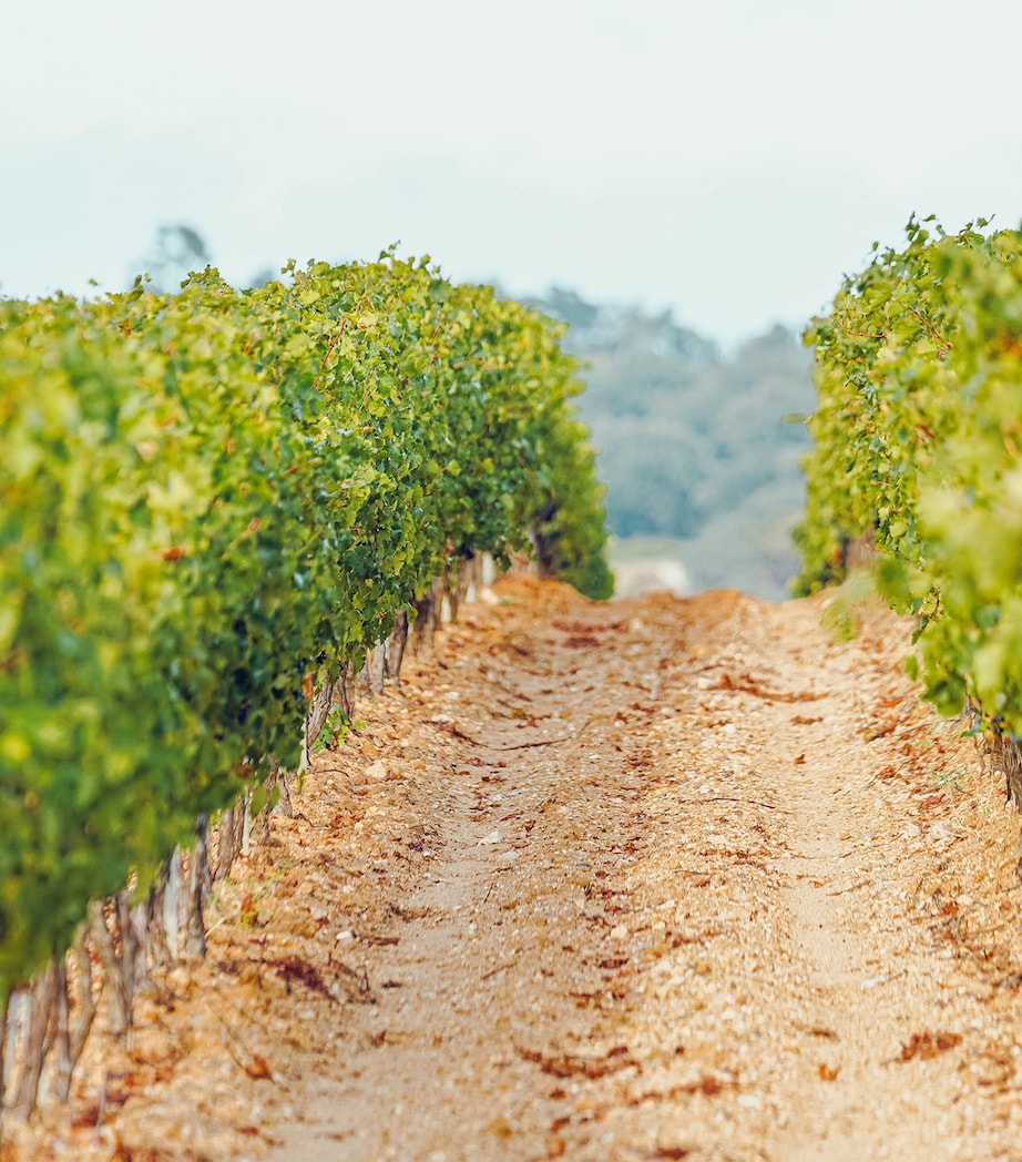 Hanikon Côtes de Provence Rosé, 2024 (75cl) - Côtes de Provence, France PINK Image 3