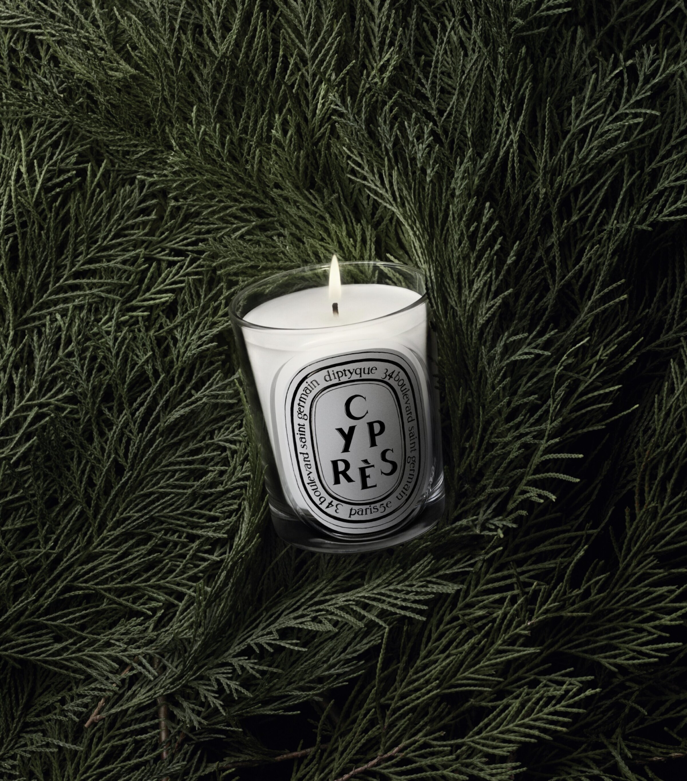 Diptyque Cypres Candle (190g) Image 3