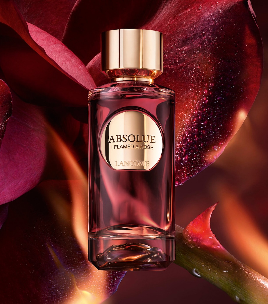 Absolue I Flamed A Rose Eau de Parfum (100ml) NO COLOUR Image 3