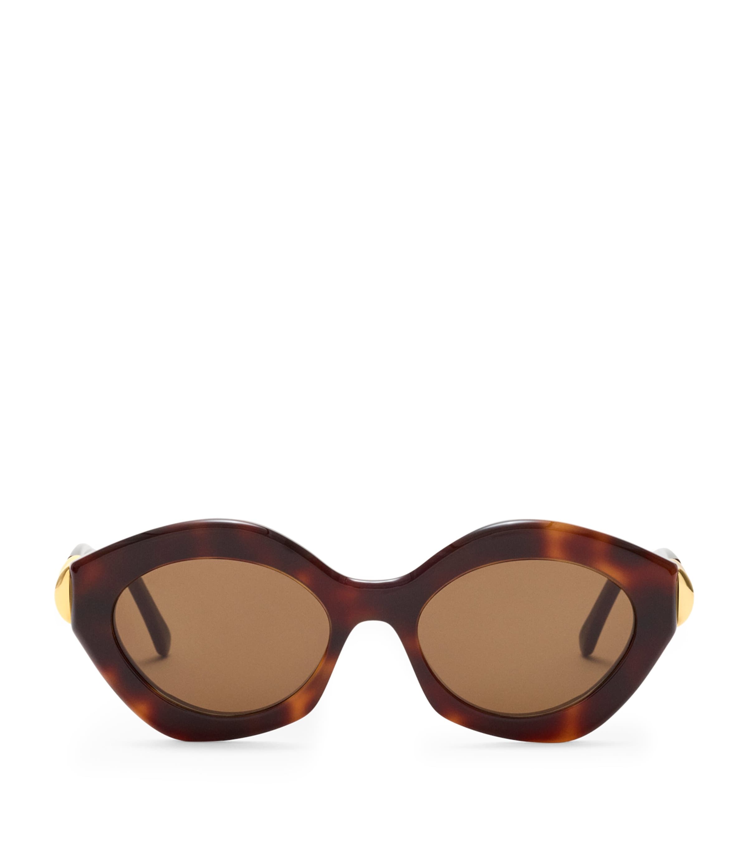 LOEWE Acetate Coil Cat Eye Sunglasses Havana Image 1