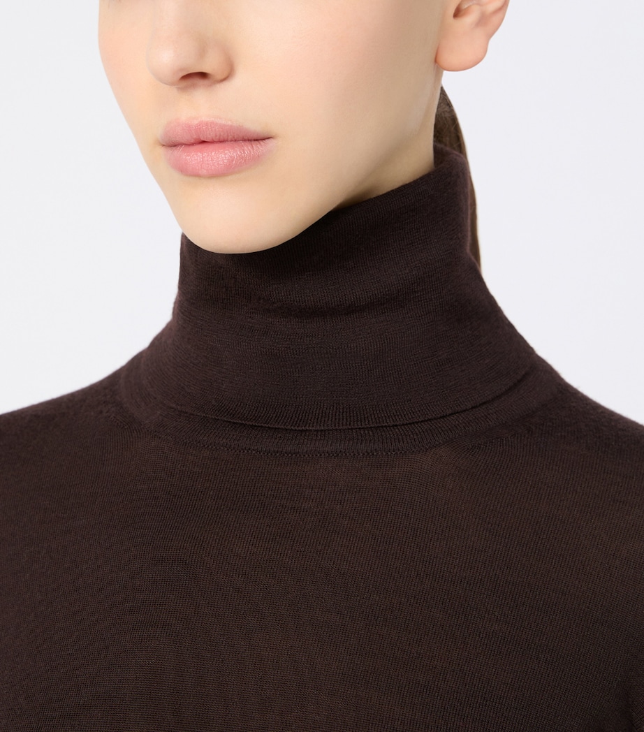 Max Mara Womens Virgin Wool Rollneck Sweater Dark Brown Image 5