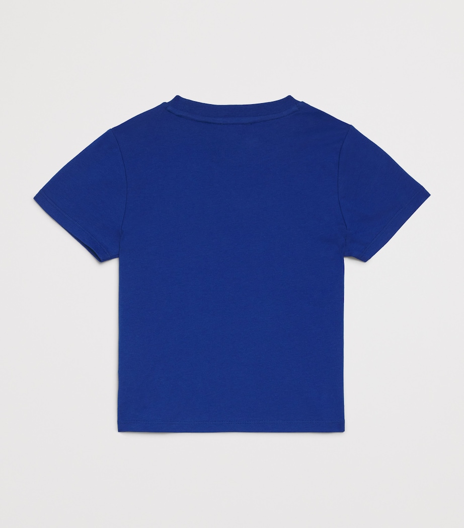 Cotton Elephant T-Shirt (2-14 Years) 829 BLUE Image 2
