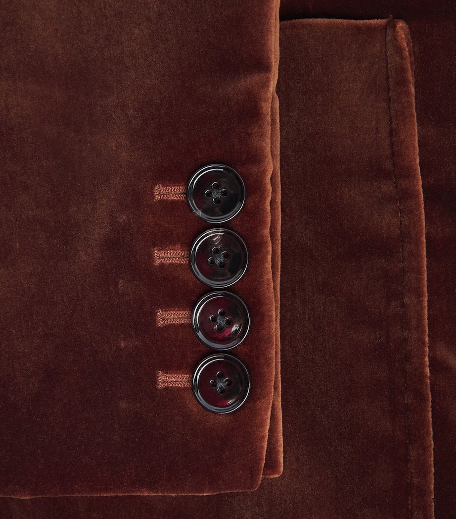 Velvet Single-Breasted Blazer CHESTNUT Image 5