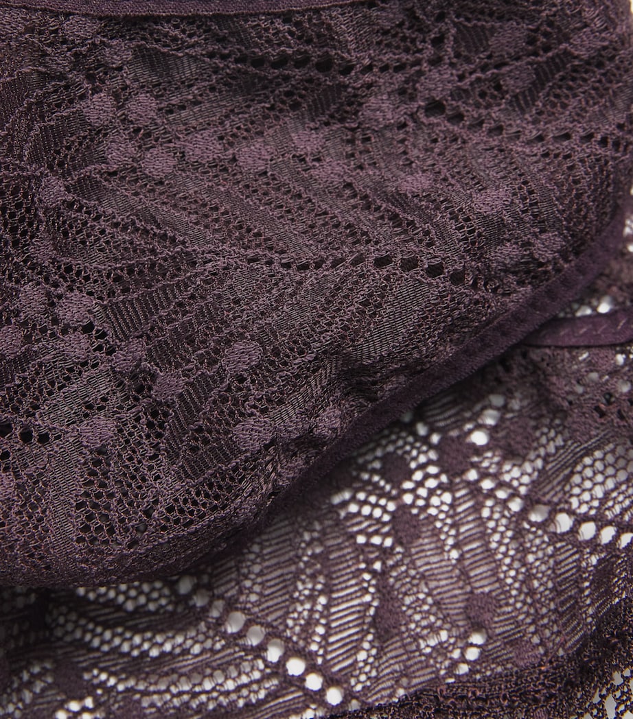 Lace Comète Bikini Briefs 429 DARK BROWN Image 4