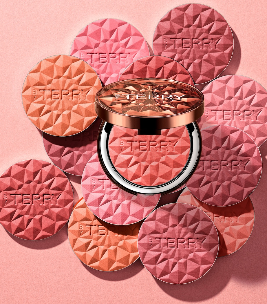 Tea to Tan Blush Powder N6 Image 4