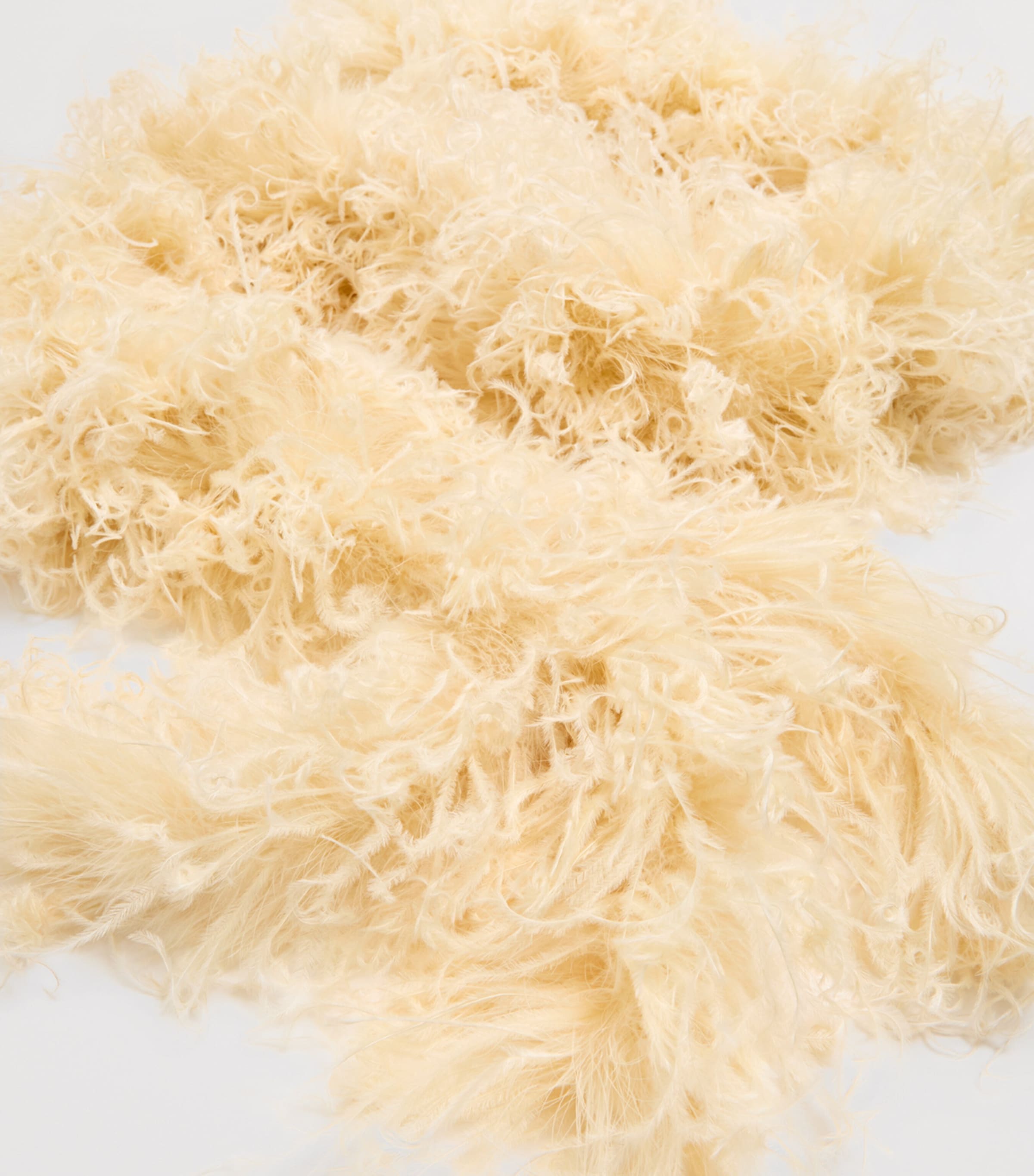 Valentino Garavani Feather Scarf Image 4