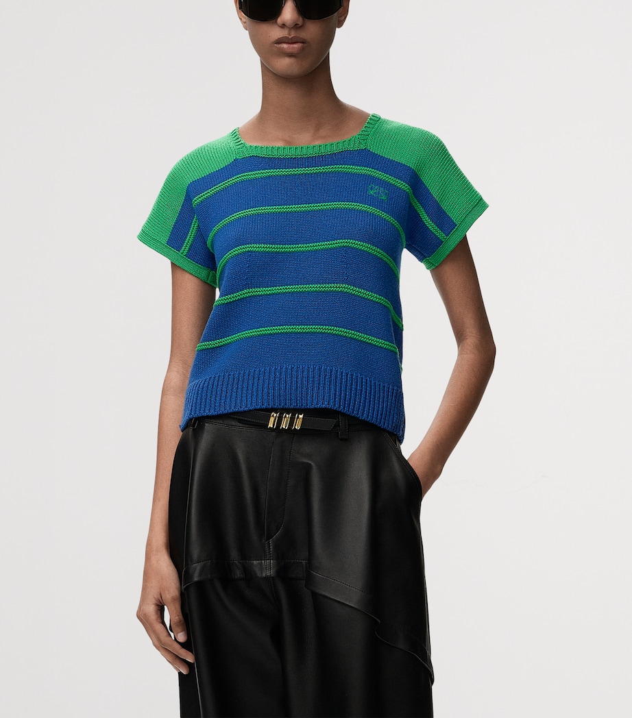 LOEWE Womens Cotton-Wool Stripe Sweater Blue/green Image 3