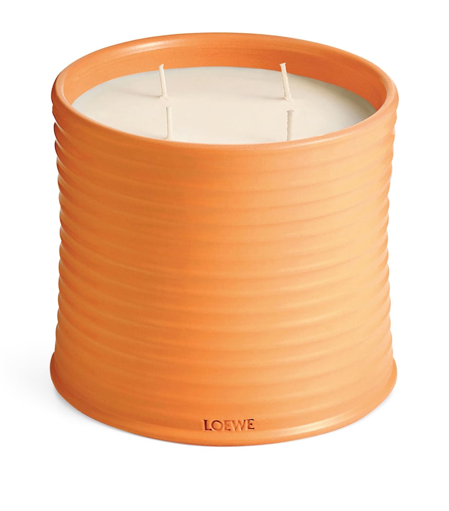 Large Orange Blossom Candle (4.85kg) NO COLOUR Image 1