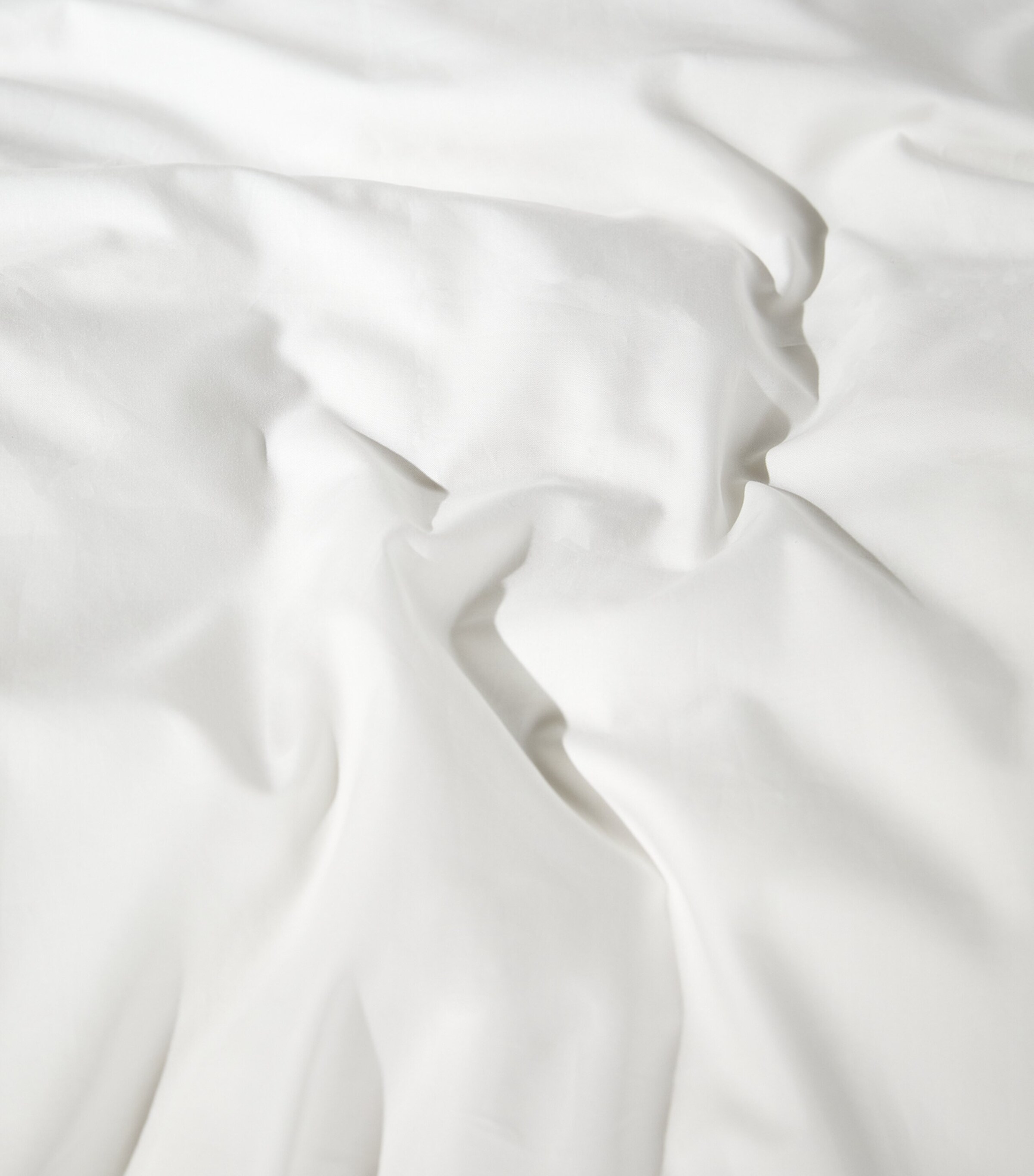 Harrods of London Egyptian Cotton Parisian Super King Flat Sheet (300cm x 265cm) White/sage Image 8