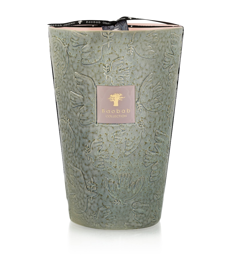 Baobab Collection Colombe Scented Candle (9kg) Green Image 1