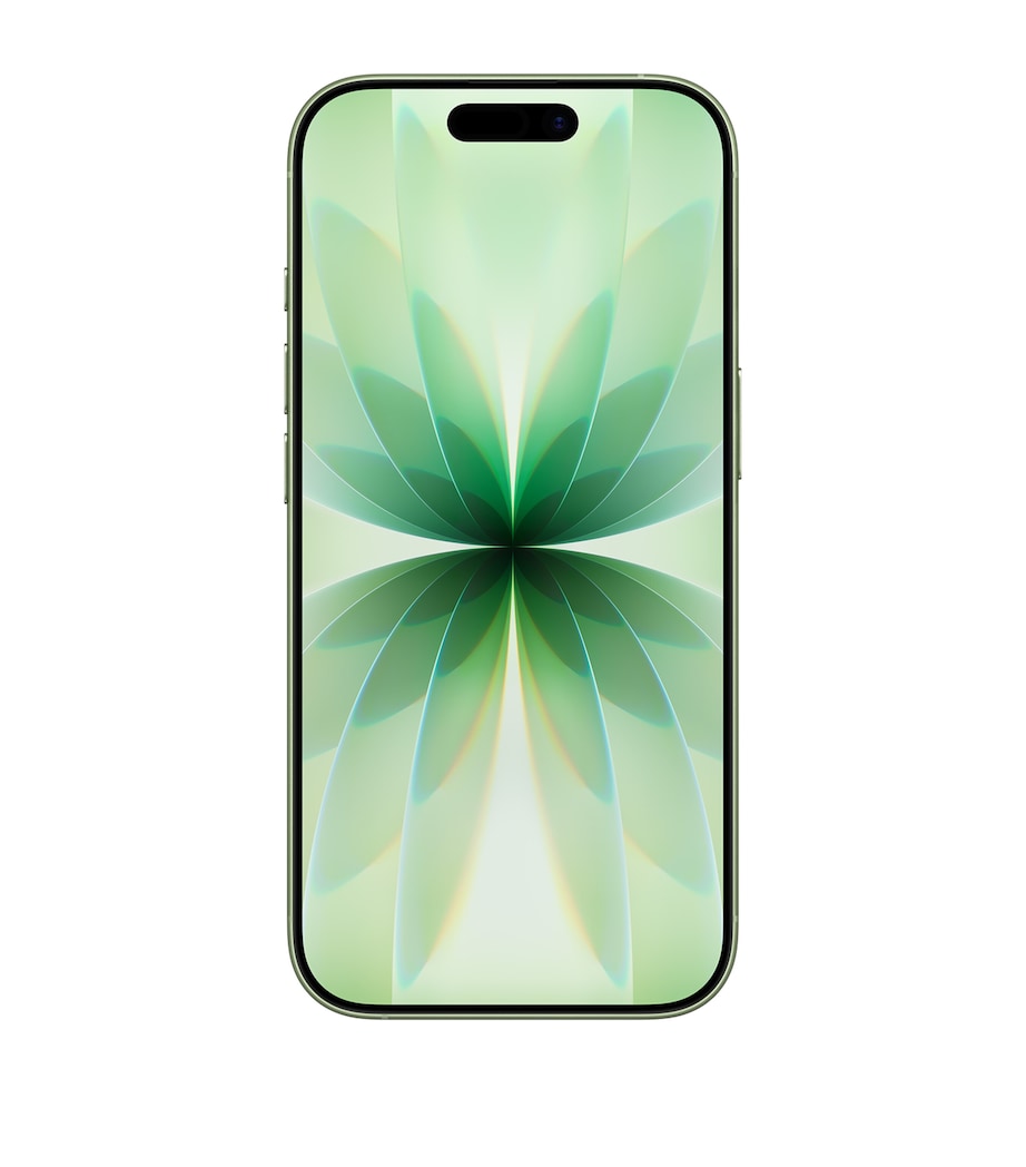iPhone 17 512GB - Sage SAGE Image 2