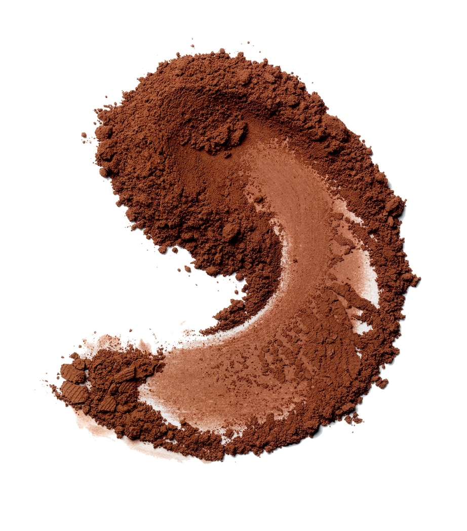 Skin Weightless Powder Foundation CHESTNUT Image 2
