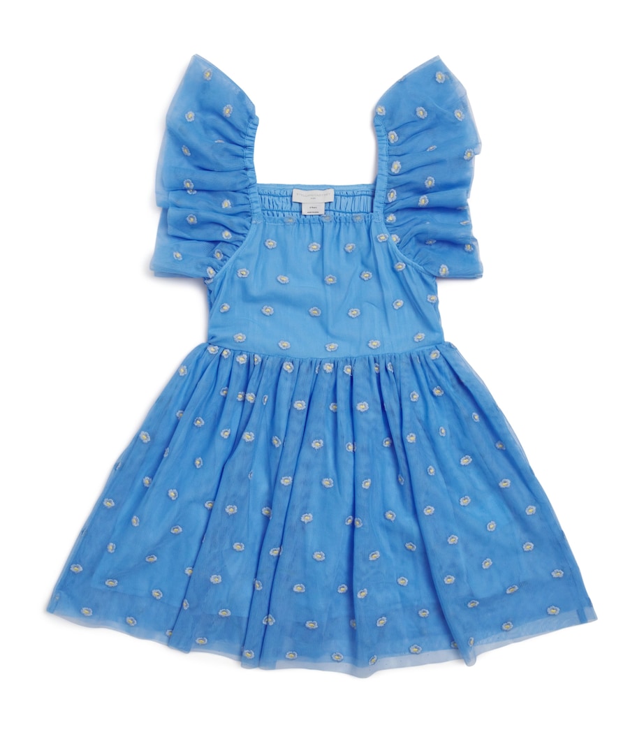 Tulle Embroidered Dress (3-14 Years) 636EMAZZURRO/EMBR Image 1