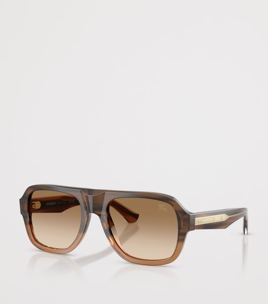 Pilot Sunglasses 420789 Image 2