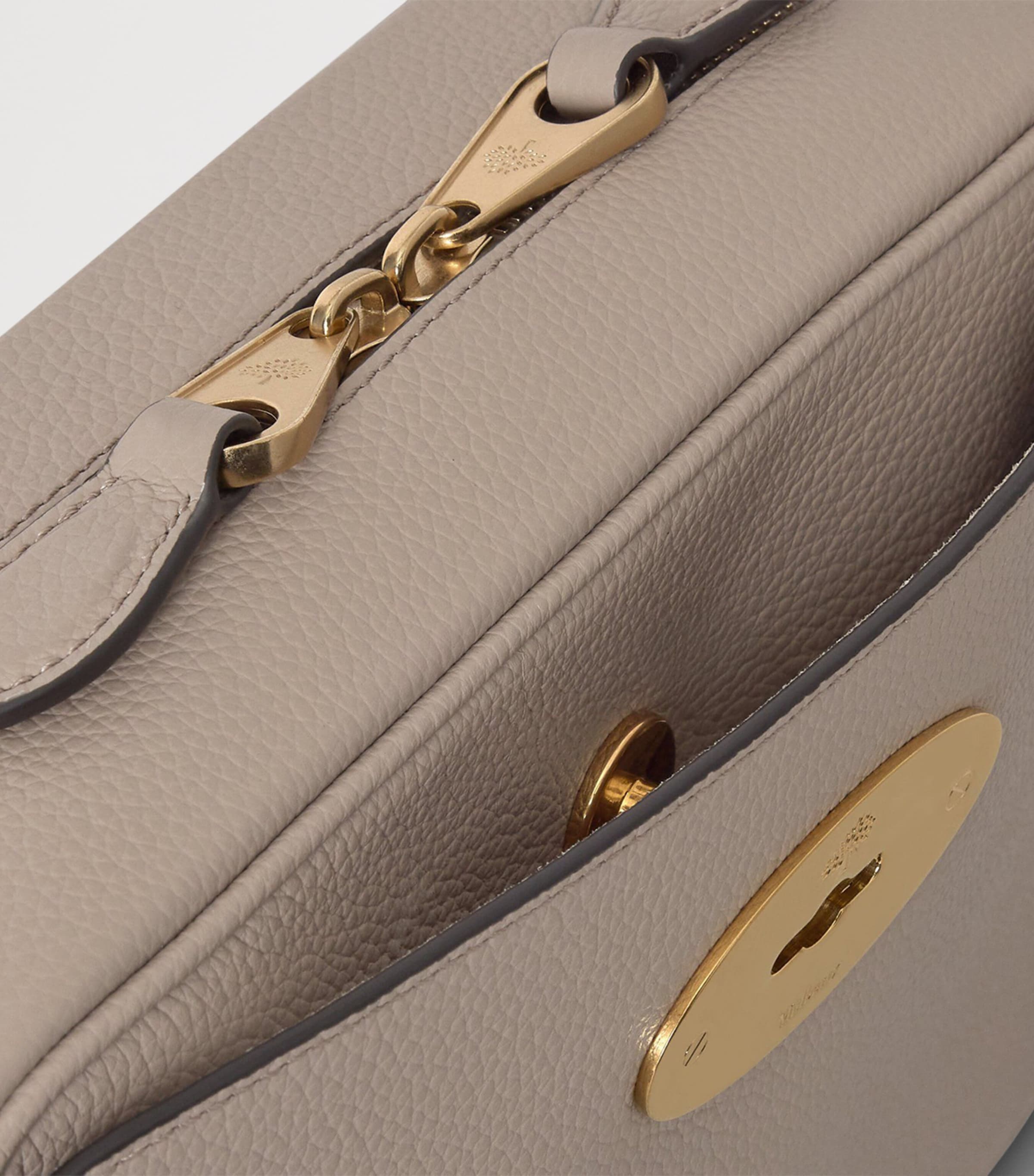 Mulberry Leather Darley Camera Bag Cashmere Taupe Image 5