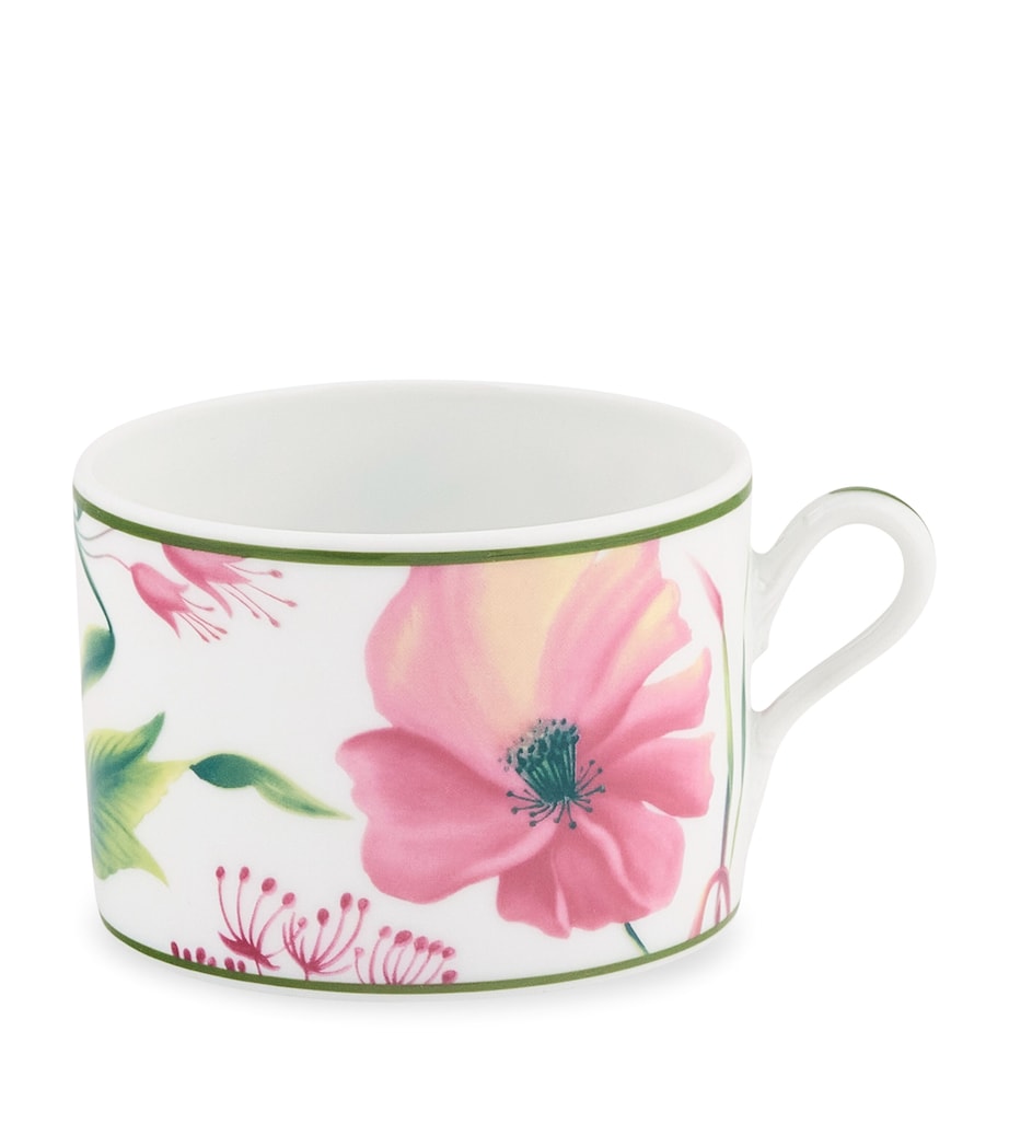 GINORI 1735 Florenza Teacup Image 1