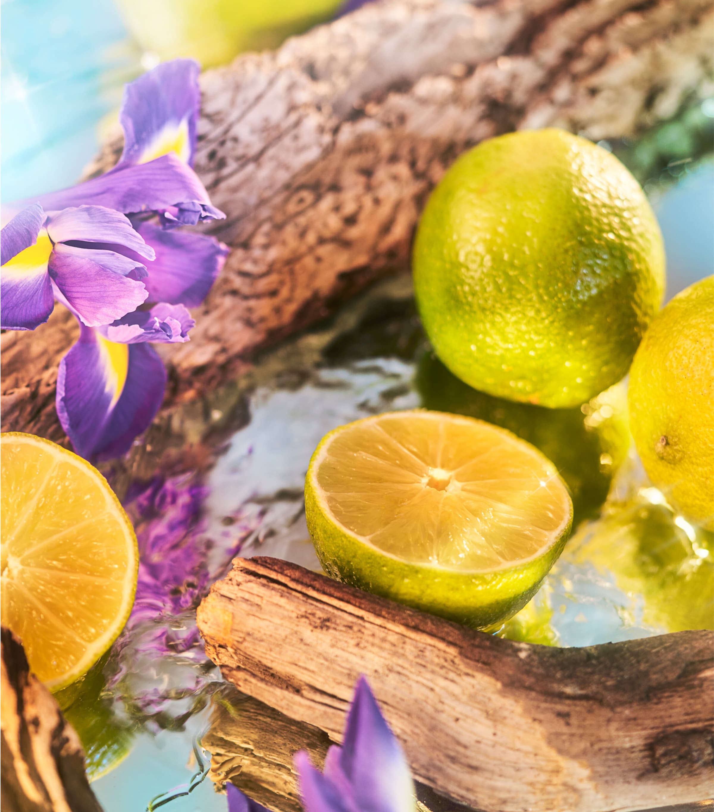 Oceania Pure Perfume (50ml) NO COLOUR Image 2