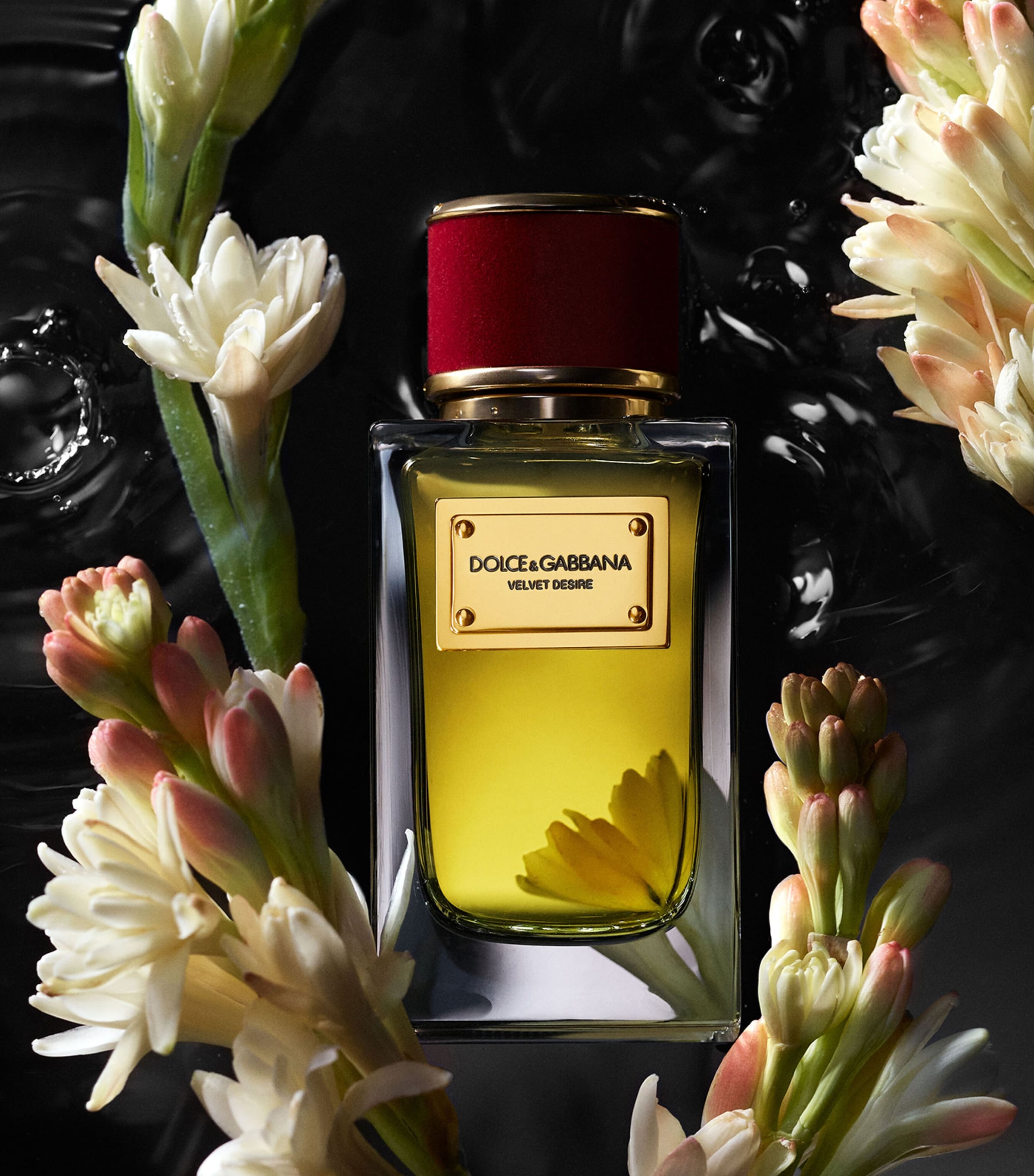 Dolce & Gabbana Velvet Desire Eau de Parfum (100ml) | Harrods US