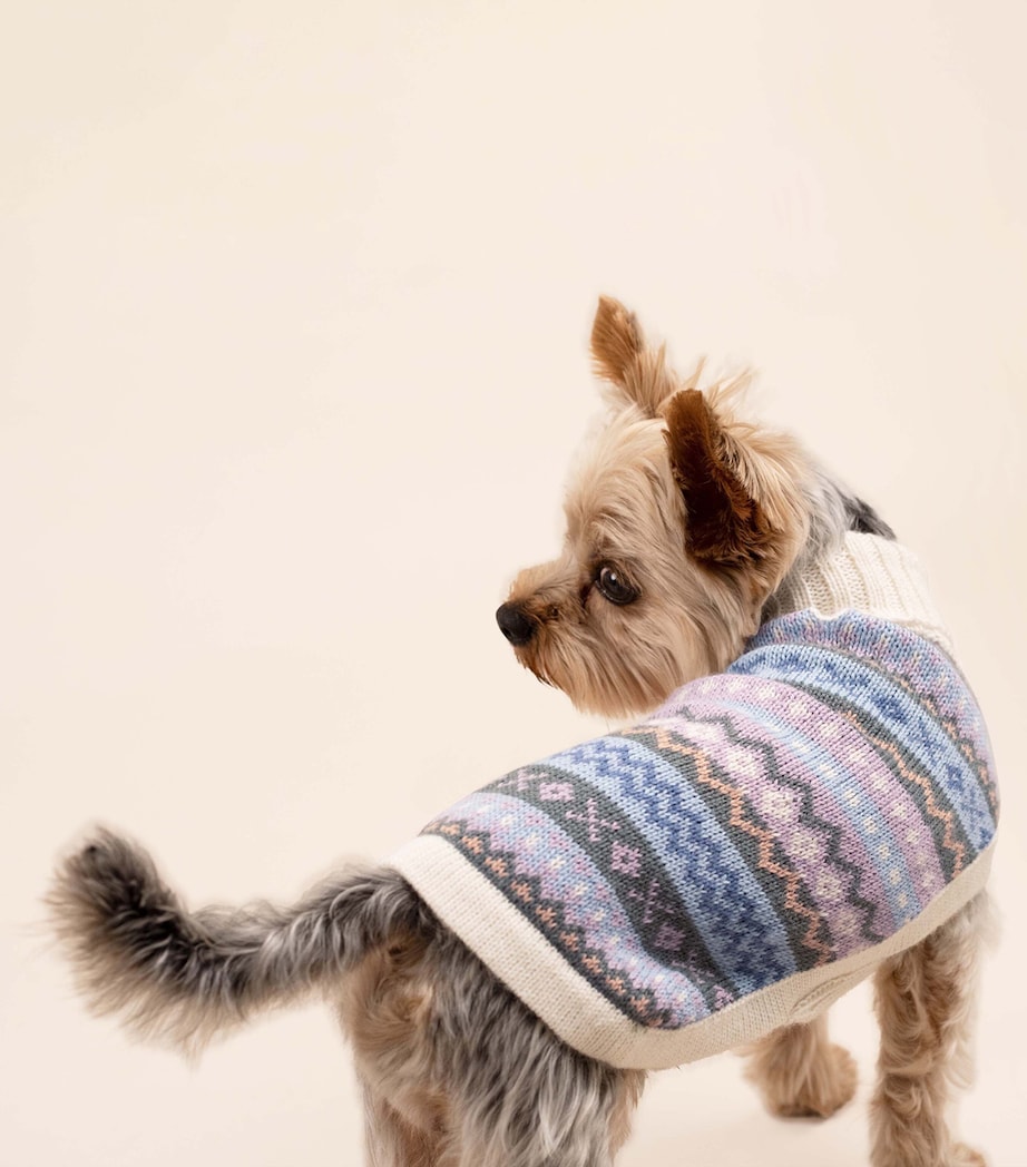 ALQO WASI Alpaca-Blend Cloudform Dog Sweater (Medium) Cloudform Image 2