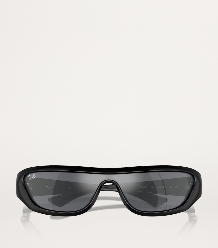 RB4431 Xan Sunglasses 66776V Image 4