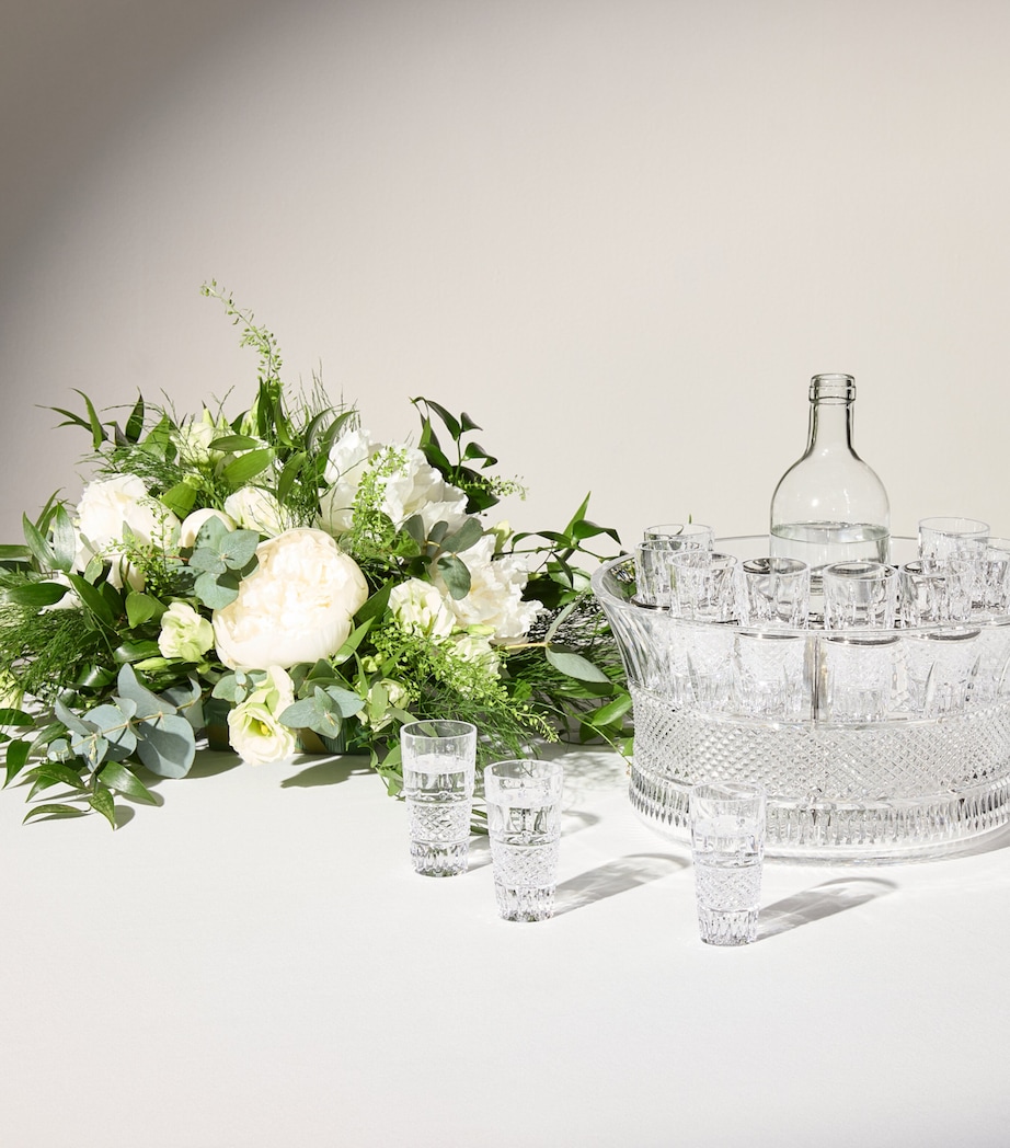 Waterford Crystal Mastercraft Irish Lace Vodka Centrepiece Set Clear Image 2