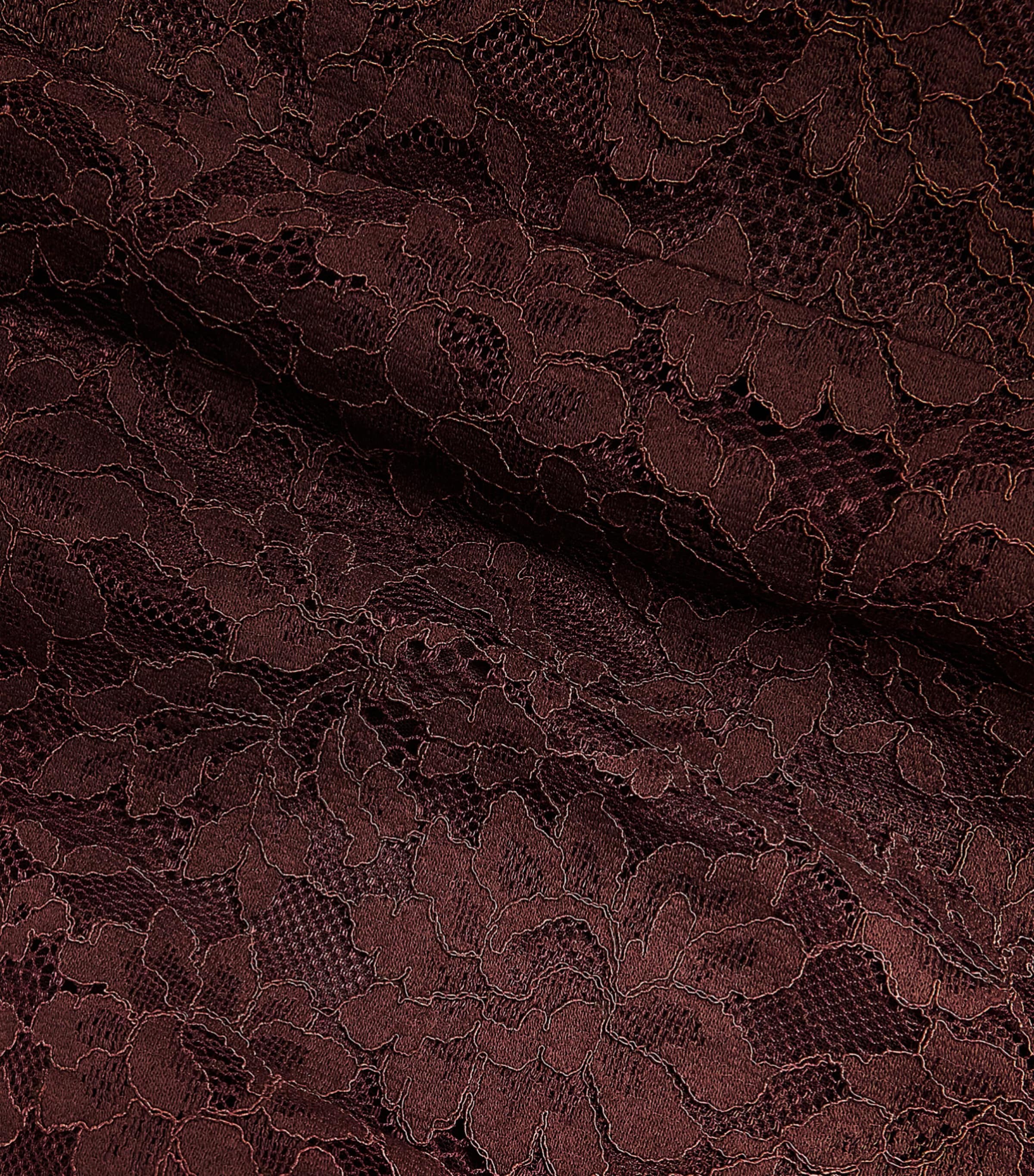 De La Vali Womens Lace Pasion Maxi Skirt Brown Image 6