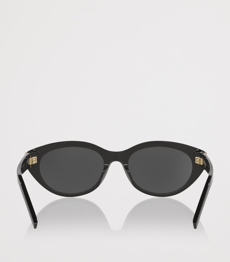 Acetate Round Sunglasses 1100A1 Image 4