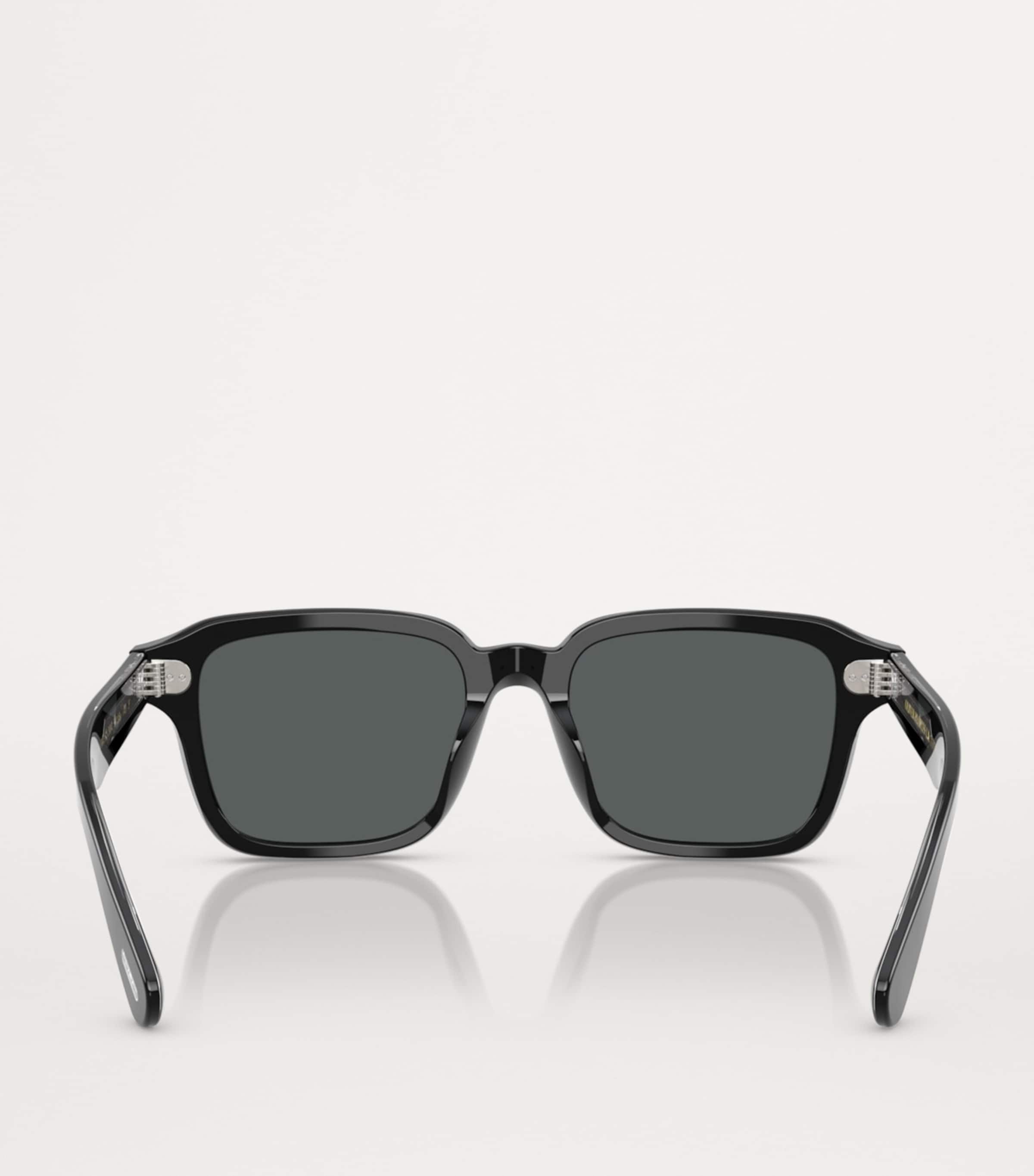 Acetate Errisson Sun Sunglasses 1731P2 Image 4