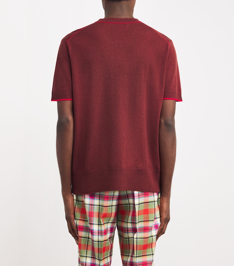 Merino Wool-Cashmere Orb T-Shirt H408-BERRY Image 4