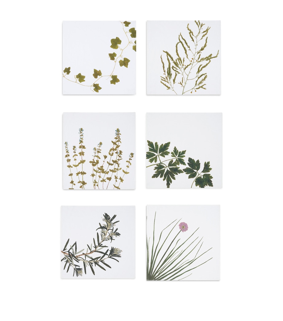 Set of 6 Linen Gastronomic Herb Garden Napkins (50cm x 50cm) GREEN Image 1