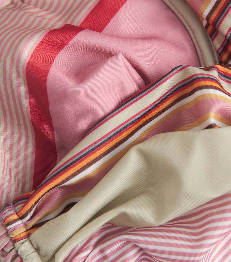 Stripe Sol Bikini Top BRRGN STRPE DSTY MVE Image 4