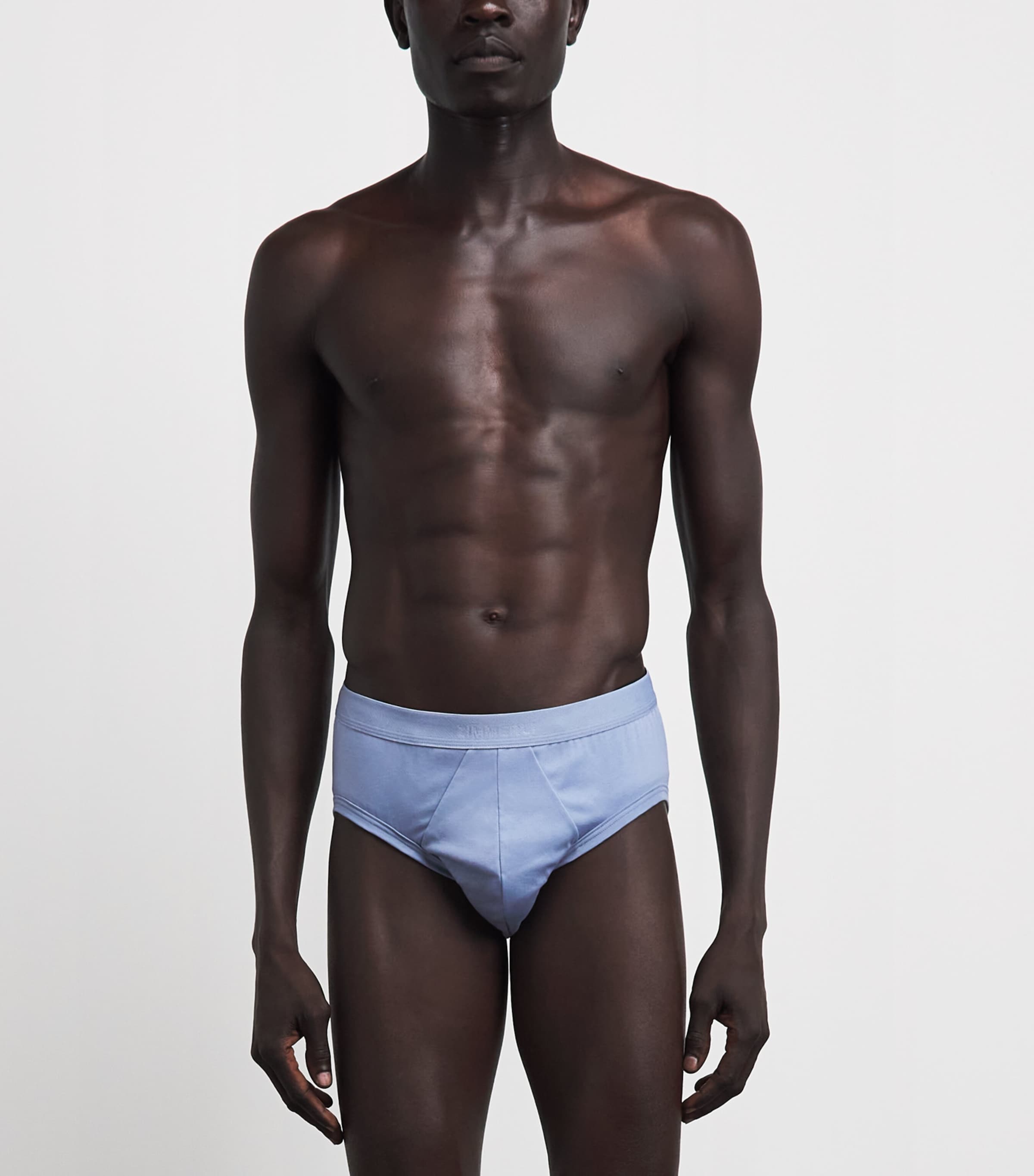 Zimmerli Mens Sea Island Cotton Briefs Mountain Blue Image 2